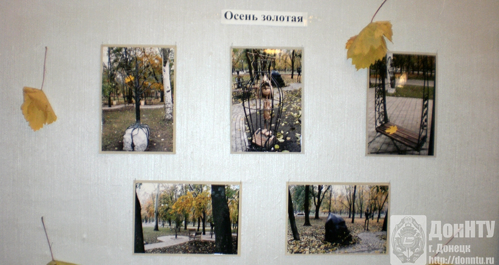 Фрагмент выставки