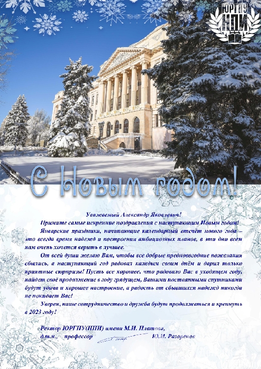 «Южно-Российский государственный политехнический университет (НПИ) имени М.И. Платова»