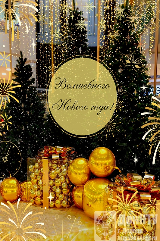 Анастасия Крылова, ИЭФ