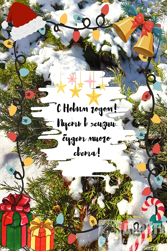 Анастасия Крылова, ИЭФ