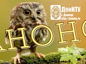 «Открой для себя удивительный мир птиц»